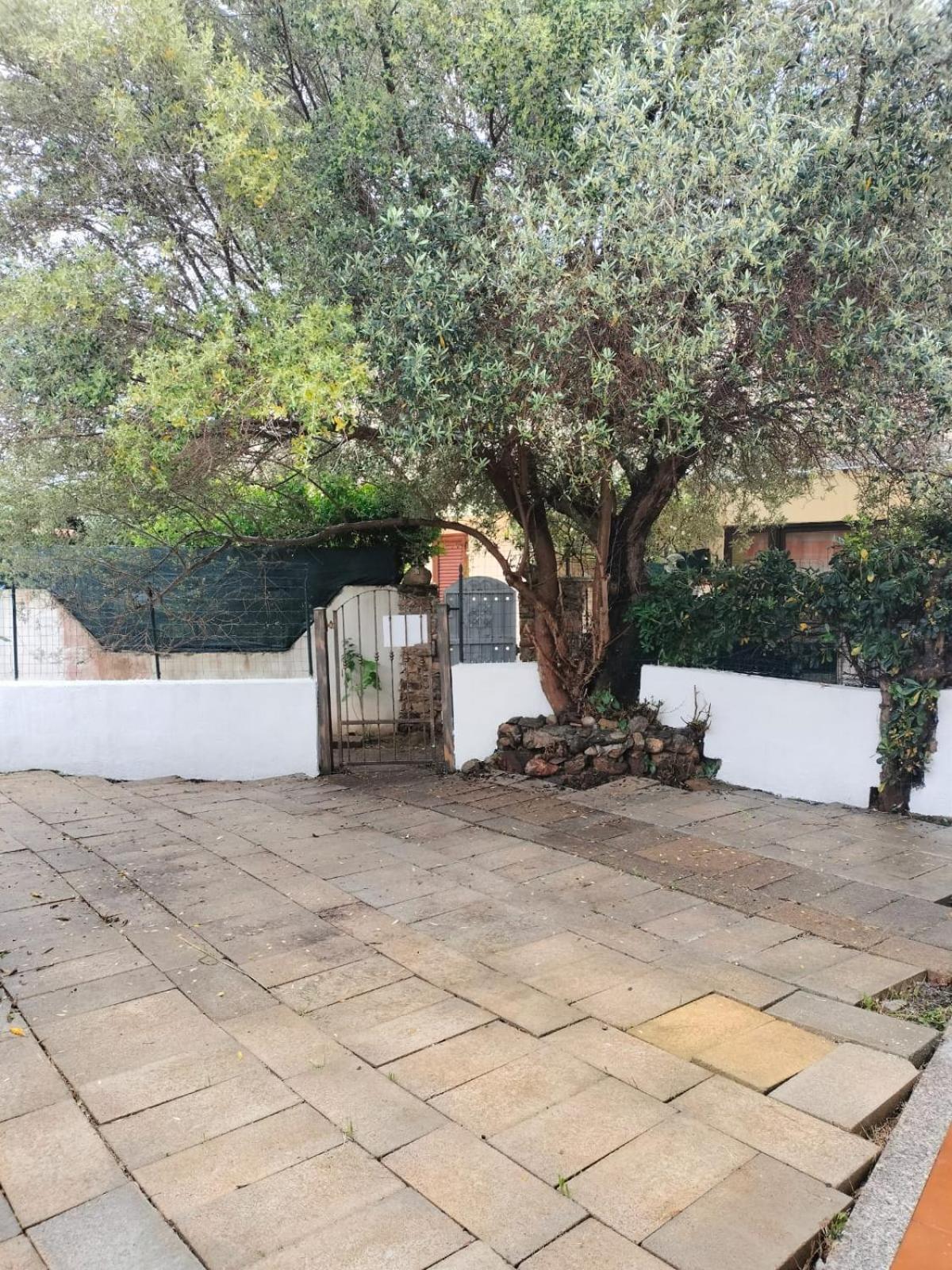 Casa Antony Vila San Teodoro  Exterior foto